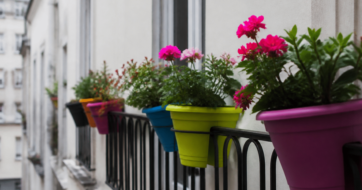 Pots de fleurs colorees alignes sur rampe de balcon etroit