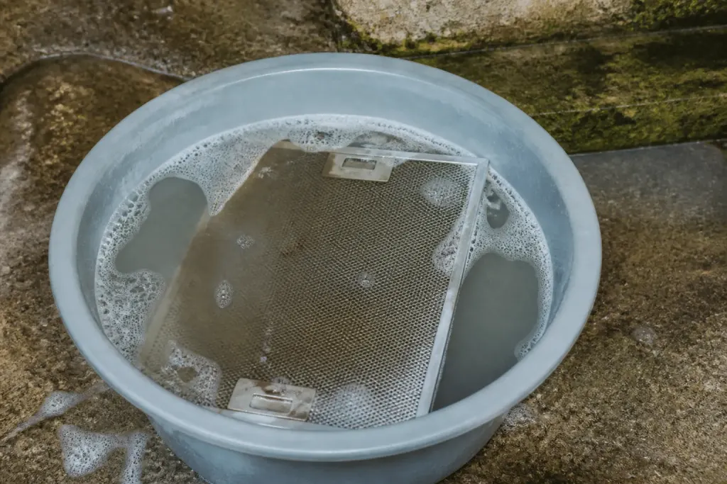 Filtre metallique trempe dans bassine eau bicarbonate
