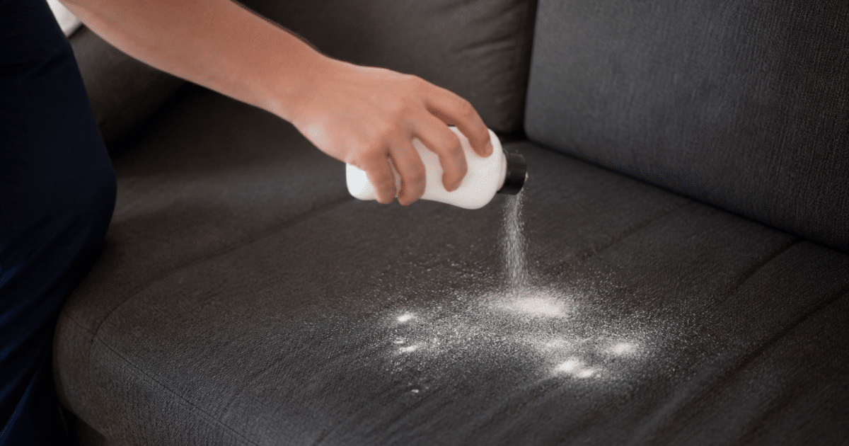 Main saupoudrant poudre blanche sur tissu canape gris