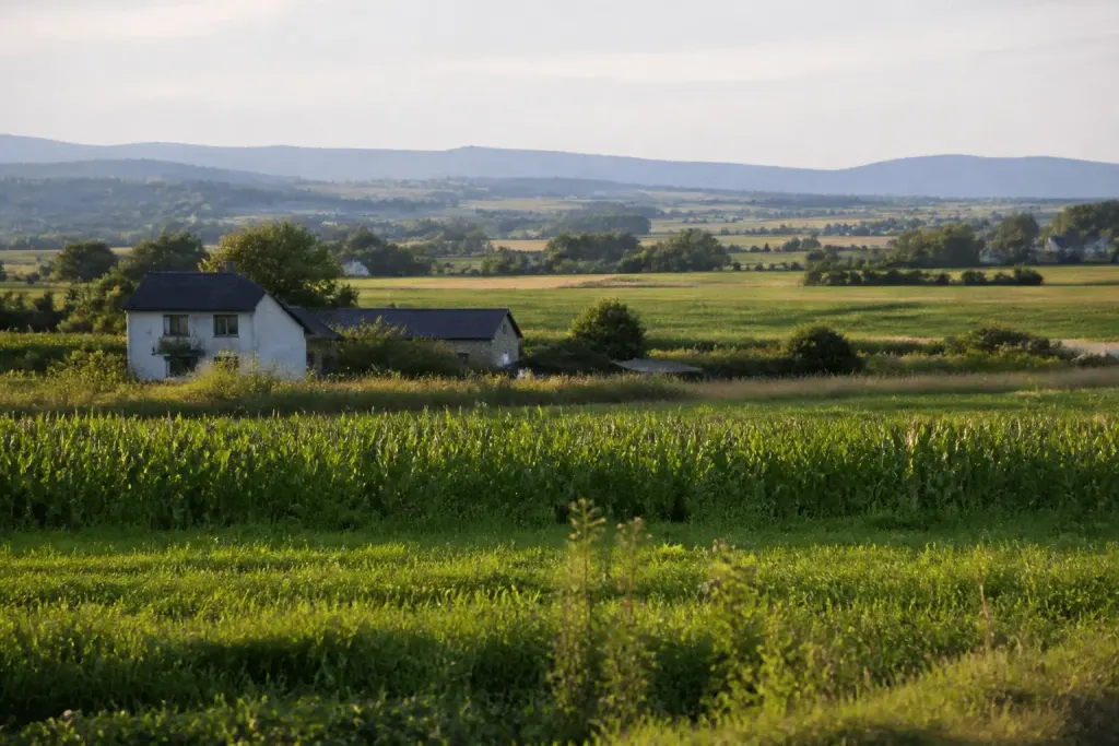 Paysage rural avec champs agricoles et habitations dispersees