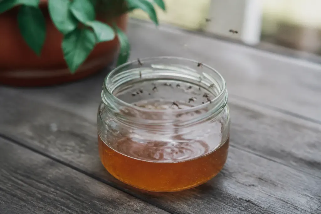 Bocal avec vinaigre et miel attirant petits insectes volants