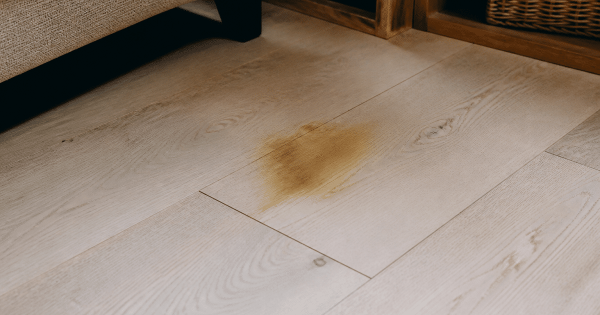 Tache jaune foncee sur lame parquet bois clair