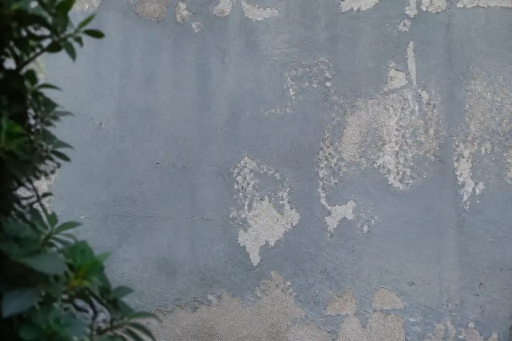 Mur beton gris peinture ecaillee par zones