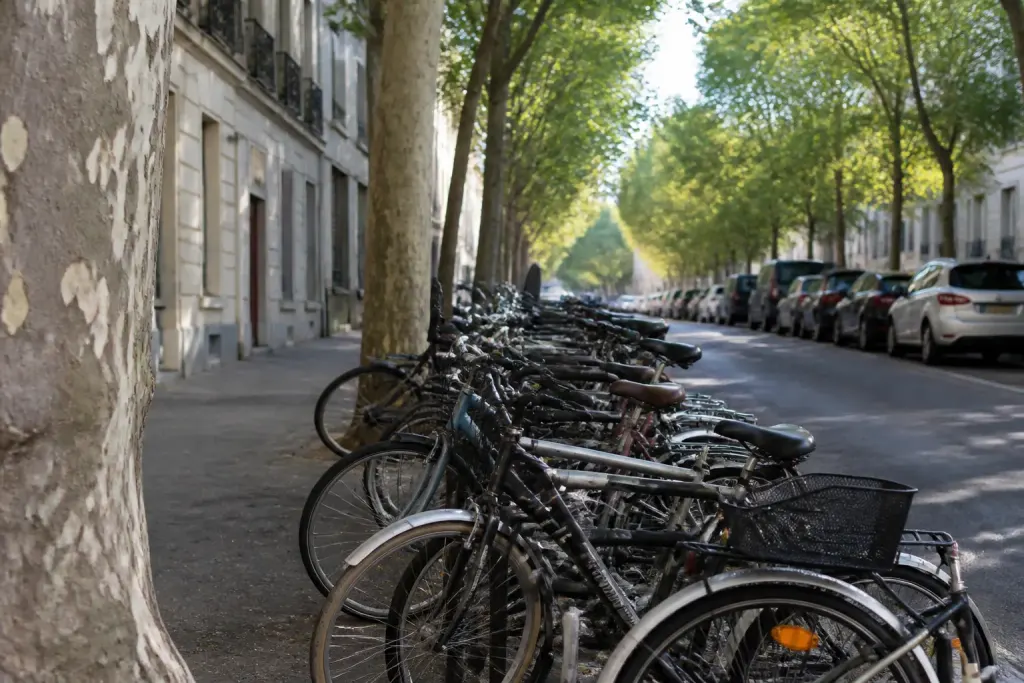 Rue residentielle bordee de platanes et velos gares